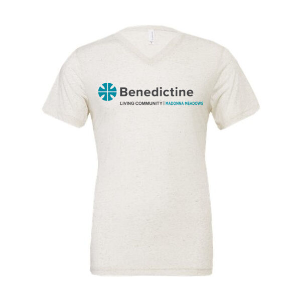 BELLA + CANVAS - Triblend V-Neck Short Sleeve Tee - Printed Logo Thumbnail